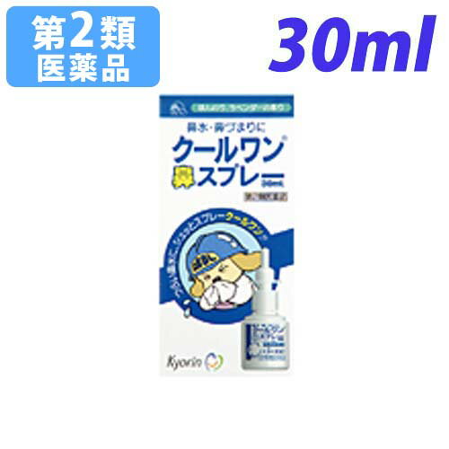 リスク区分：第2類医薬品使用期限：使用期限まで90日以上あるものをお送りします。「医薬品販売に関する記載事項」【お問い合わせ先】杏林製薬株式会社 学術部電話：03(3293)3412受付時間 9：00〜17：00(土、日、祝日を除く)文責：登録販売者 西川 歩■商品詳細メーカー名：杏林製薬シリーズ名：クールワン内容量：30ml購入単位：1個配送種別：在庫品【検索用キーワード】花粉特集点鼻薬 アレルギー性鼻炎 急性鼻炎 副鼻腔炎 諸症状 緩和 鼻づまり 鼻みず 鼻水 鼻汁過多 くしゃみ 頭重 杏林製薬 薬 くすり クスリ 医薬品 いやくひん イヤクヒン