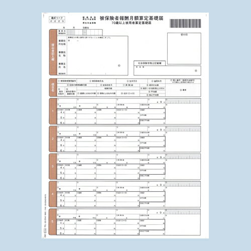 楽天ドラッグスーパー　alude『代引不可』 OBC オービック 単票被保険者算定基礎届 A4 タテ OBC-5164 帳票 用紙 帳票用紙 純正 単票 『返品不可』【送料無料（一部地域除く）】