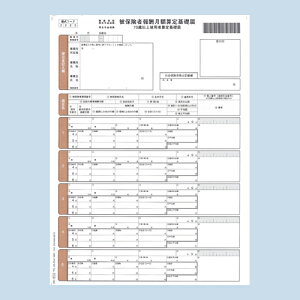 『代引不可』 OBC オービック 単票被保険者算定基礎届 A4 タテ OBC-5164 帳票 用紙 帳票用紙 純正 単票 『返品不可』【送料無料(一部地域除く)】