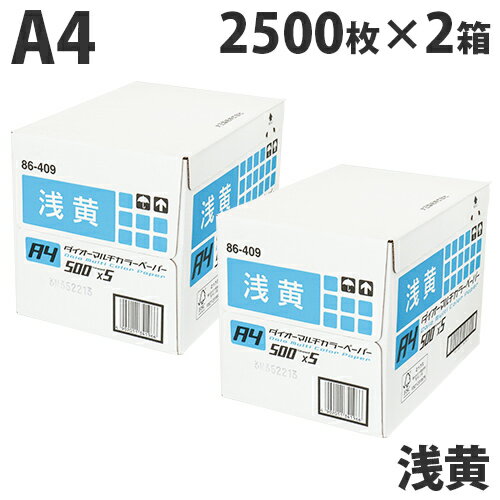 A4 Size Paper - 【FSC認証】カラーコピー用紙 ダイオーカラーマルチペーパー A4 浅黄(ライトブルー)5000枚(2500枚×2箱) 水 青 チラシ DM 案内状 掲示物 配布物 カラーペーパー『送料無料（一部地域除く）』