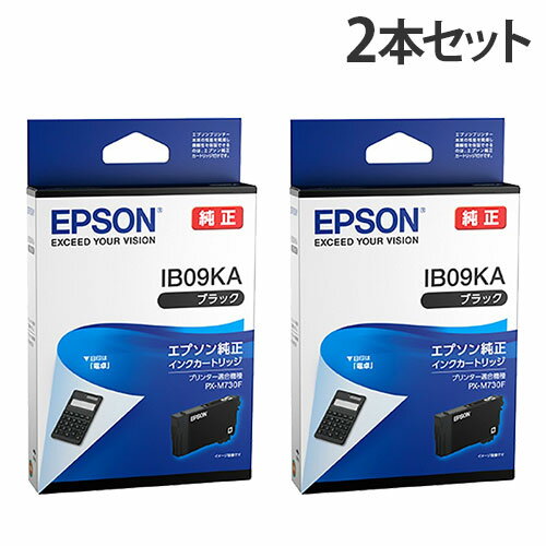 EPSON ���󥯥����ȥ�å� �֥�å� ���� IB09KA ���� 2�ܥ��åȡ�����̵���ʰ����ϰ�����ˡ�