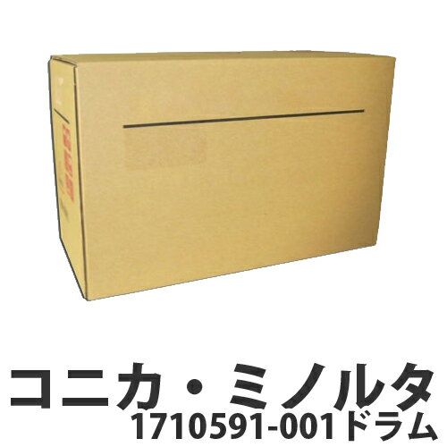 1710591-001 純正品 コニカミノルタ【代引不可】【送料無料（一部地域除く）】 1