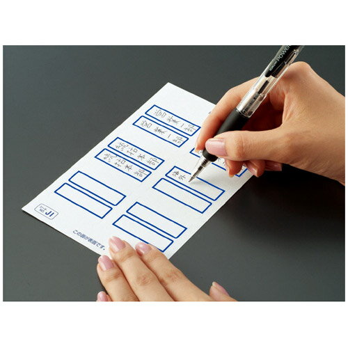 KOKUYO タックインデックス(パソプリ) 特大 42×34mm 60片(6片×10枚) 赤枠 タ-PC23R