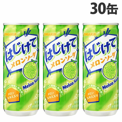 サンガリア はじけてメロンソーダ 250g×30缶 飲料 缶 ジュース フルーツジュース 炭酸飲料 缶ジュースのサムネイル