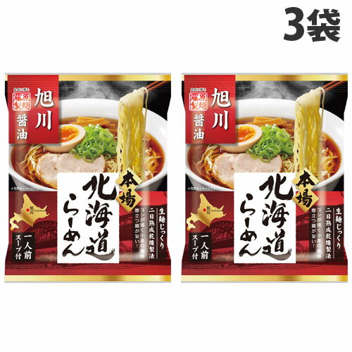 藤原製麺 北海道旭川ガラ味 醤油ラーメン 107g×3袋 ラ