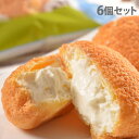 乳蔵 シュークリーム 6個入 ギフト 贈答品 贈り物 シュークリーム 洋菓子 スイーツ『代引不可』『送料無料(一部地域除く)』