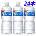 ATq xmR̃oiWEVR 600ml~24{