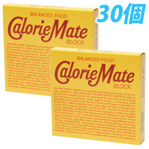 大塚製薬 カロリーメイト ブロック チョコレート味 4本×30個【送料無料（一部地域除く）】