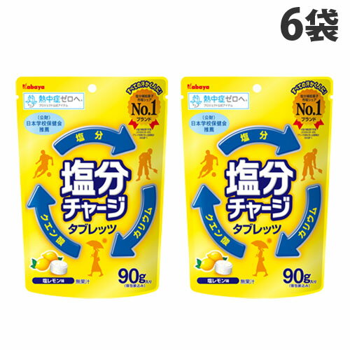カバヤ 塩分チャージタブレッツ 塩レモン 90g×6袋のサムネイル