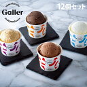 Galler(ガレー) プレミアムアイスクリーム 12個セット ギフト 贈答品 贈り物 スイーツ デザート アイス ガレー 『日時指定不可』『代引不可』『送料無料（一部地域除く）』