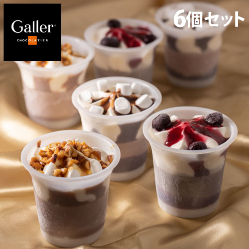 Galler ガレー チョコレートアイスパルフェ 6個セット ギフト 贈答品 贈り物 スイーツ デザート アイス ガレー 日時指定不可 代引不可 送料無料 一部地域除く 