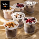 ガレー アイスクリーム Galler(ガレー) チョコレートアイスパルフェ 6個セット ギフト 贈答品 贈り物 スイーツ デザート アイス ガレー 『日時指定不可』『代引不可』『送料無料（一部地域除く）』