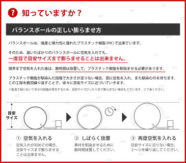 【送料無料】バランスボール 55cm ポンプ付き アンチバースト EGS(イージーエス) バランスボール 55cm EG-3062【ジムボール ヨガボール エクササイズボール】【バランスディスク ヨガマット 腹筋ローラー などの 筋トレ ヨガ フィットネス 用品 と一緒に】[返品交換不可]