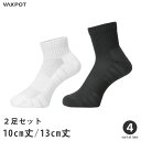 スポーツソックス メンズ レディース 2足組 抗菌防臭 サポート設計 VAXPOT(バックスポット) VA-6030 2足セット スポーツ ソックス スポーツ ...