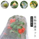 果物袋 保護ネット 防虫 ネット 果物保護ネット 100枚入 果樹用防鳥ネット 巾着袋 通気性 メッシュ 鳥よけネット 鳩よけネット 果物保護バッグ 果実袋 イ...