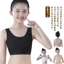 ジュニアブラ ハーフトップブラ カップなし ブラジャー 2枚セット スポーツブラジャー ノンワイヤーブラジャー インナー ファストブラ 綿 通気性 柔らかい 下...