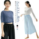 レディース シースルー 大人 トップス Tシャツ バレエ バレエトップス ヨガウエア 薄手 透け感 可愛い カットソー バレエ上着 バレエ上着 動きやすい 社交...