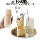 歯ブラシケース 旅行用 小物入れ 化粧筆入れ 普段使い トラベル 無地 使いやすい コンパクト 可愛い シンプル おしゃれ 多用途 携帯用 便利 収納 整理 旅行用品 出張 キャンプ アウトドア 軽い 丈夫 送料無料