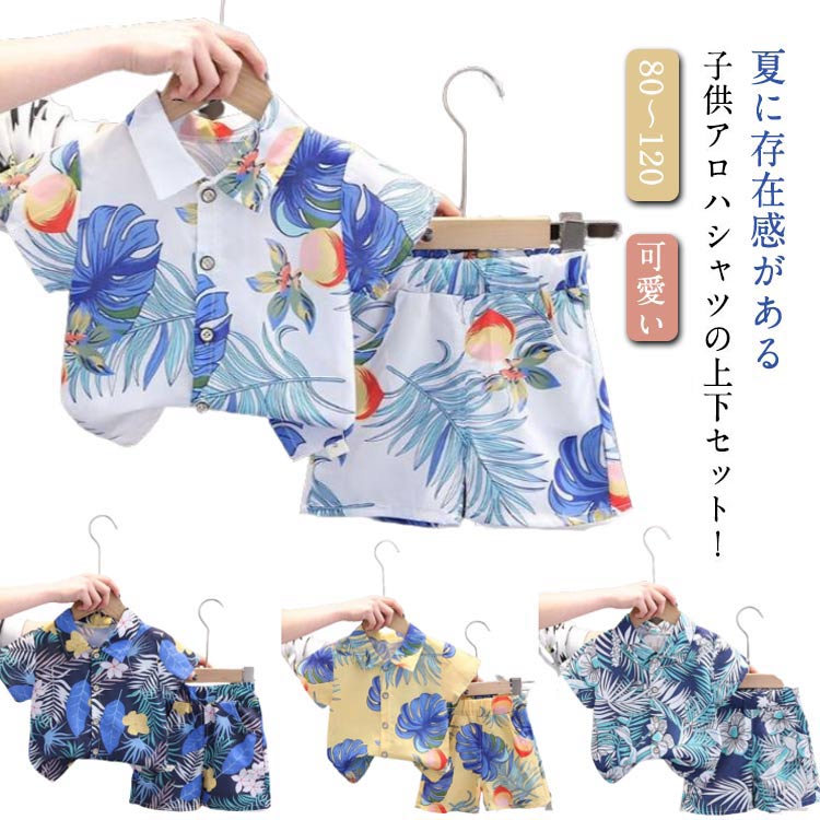 ���å� �����ϥ���� �岼���å� ���硼�ȥѥ�� �Ҷ��� ���å� �Ļ��� �İ��� Ⱦµ����� �ˤλ� �ϥ磻�� ���åȥ��å� ���� ���襤�� �ӡ��������� ����...