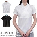 半襦袢 着物スリップ Tシャツ 着物 きもの 半袖 衿 抜衿 レディース インナー 衿付き 肌襦袢 重ね着 肌着 大きいサイズ 着物 襦袢 着物下 ピンク 卒業式 振袖 二尺袖 礼装用 花嫁 留袖 振袖 和装肌着 結婚式 下着 ホワイト 無地 送料無料