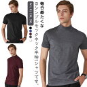 無地 tシャツ tシャツ 半袖 夏 ゴルフウェア カットソー モックネック tシャツ ハイネック ティーシャツ ゴルフtシャツ オフィス カジュアル シンプル ビジネス カットソー 普段着 夏 メンズ