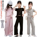 上下セット 女の子 上下 子供服 スウェット 2点セット 半袖 キッズ カジュアルセット 長ズボン Tシャツ 部屋着 スポーツウェア 綿 柔らかい おしゃれ カ...