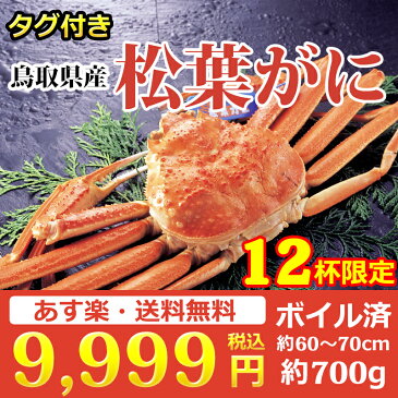 【プレオープン Pt10倍保証】鳥取県産 松葉ガニ(700g前後) 海士(あま)物産 荒波の日本海で育った タグ付き 松葉ガニ 厳しい審査を通ったブランド 松葉ガニ 通販で破格 送料無料 あす楽 隠岐の島 西ノ島　海士町