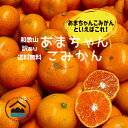 【特選】 あまちゃんこみかん 10キロ 2S以下 小玉 みかん 送料無料 和歌山 有田みかん 訳ありみかん 産地直送 ご家庭用 早生 極早生 ゆら早生 小粒 蜜柑 フルーツ