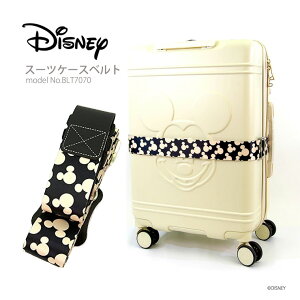 ǥˡ Disney ĥ٥ 饲٥ȥߥåޥ ȥ٥륰å ιԾʪ X-BANDե siffler BLT7070