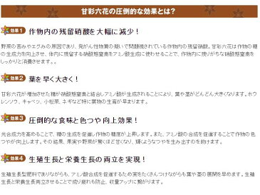 肥料 液体肥料　園芸用品　家庭菜園　農業資材　農業用品　液肥　送料無料　リン酸　カリウム　糖度上昇　色艶　収量増加　イチゴ　ミカン　トマト　リンゴ　バラ　果菜　果樹　花 野菜【甘彩六花(アマイロリッカ) 10kg箱】