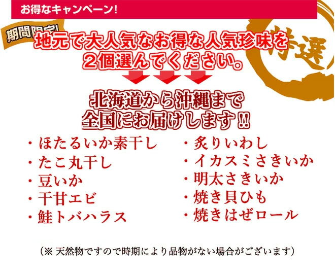 【選べる珍味2個SET】 おつまみ セット 珍味 晩酌 おつまみセット 珍味セット 家飲み 宅飲み ビール 焼酎 日本酒 海鮮 ほたるいか エビ 鮭 鮭トバ いわし あたりめ さきいか 焼き貝ひも まめいか たこ丸干し いか イカ お父さん 業務用 送料無料