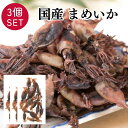 【27日まで限定クーポン】 国産 まめいか 【100g×3袋】 おつまみ 珍味 酒の肴 つまみ いかの煮干し いか イか 晩酌 家飲み 宅飲み ビール お酒 日...