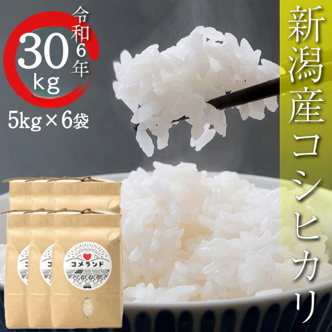 予約令和6年新潟新米コシヒカリ30kg 予約令和6年新潟新米コシヒカリ30kg