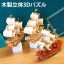 【3日までP10倍】 パズル 3D 立体パズル 木製 3種 船 帆船 海賊船 大人 子供 インテリア おもちゃ 木製パズル 乗り物 室内 遊び こども プレゼント ギフト おしゃれ 孫 女の子 男の子 知育玩具 クリスマス 買い回り 1000円ポッキリ 送料無料