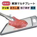 解凍マルチプレート 4WAY まな板 おろし器 包丁研ぎ 解凍プレート 急速解凍 肉 魚 お弁当 粗熱 自然解凍 冷凍 アウトドア キャンプ 新生活 一人暮らし...