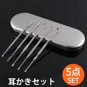 ステンレス 耳かき 5点SET 耳掃除 耳かきセット おしゃれ 家族 大人 耳垢 スクリュー型 耳 掃除 便利 買い回り ギフト プレゼント 母の日 父の日 敬...