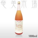 燦々梅酒 さんさんうめしゅ　12度　1800ml新発売！奄美大島にしかわ酒造　黒糖焼酎　全国初！黒糖焼酎仕込みの梅酒