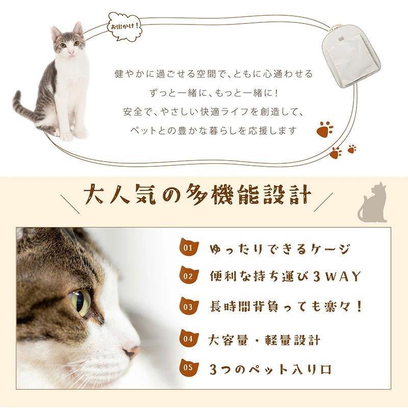 サンプル画像2