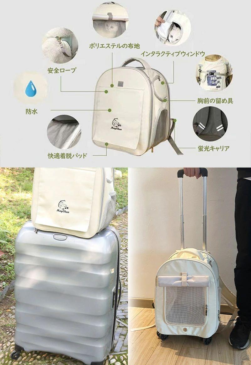 サンプル画像3