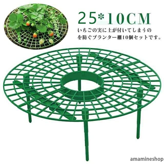 ■サイズ10個セット■詳細サイズ25*10CM■素材プラスチック■カラーグリーン