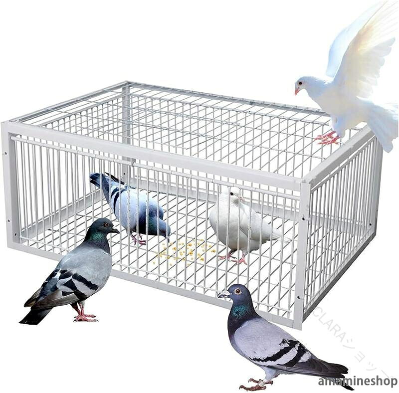 鳩 かご 入口 自動 4 屋外 鳥 脱出 鉄製 は 片道 に 鳩 籠 自動 鳩 ケージ 防止 捕獲器 輸入 ポータブル 設計 鳩 鳩 付き かご 捕り 害 鳥 罠 コレクター