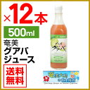 グアバジュース 栄食品 500ml×12本 フルーツジュース 濃縮還元グアバ グァバ 果実ジュース ジュース ギフト