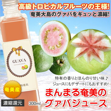 奄美大島 グアバジュース 300ml まんまる工房 フルーツジュース 濃縮還元グアバ グァバ 果実ジュース ジュース ギフト
