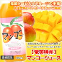 マンゴージュース 500ml 栄食品 マン