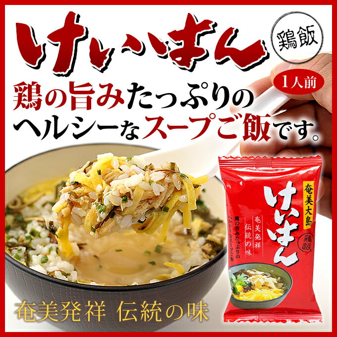 奄美大島 鶏飯 けいはん 1袋 鶏飯の素 ブロック ヤマア フリーズドライ スープごはんのサムネイル