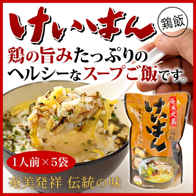 奄美大島 鶏飯 けいはん 1人前×5個×5袋 鶏飯の素 ブロック ヤマア フリーズドライ スープごはん