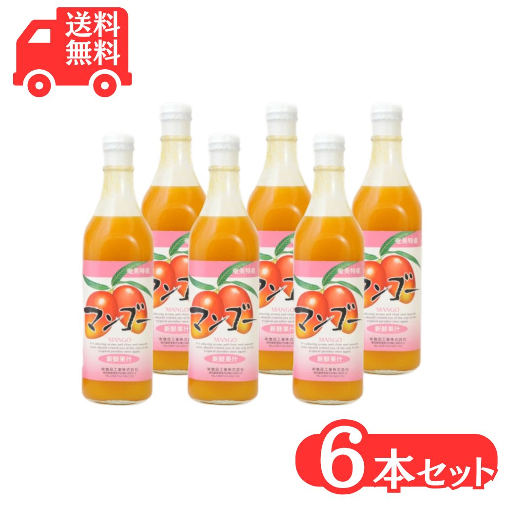 マンゴージュース 500ml×6本 栄食品 マンゴー 濃縮還元果実ジュース フルーツジュース ギフト 奄美大島