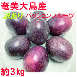 奄美大島産　パッションフルーツ　約3kg　C級品　ご家庭用　