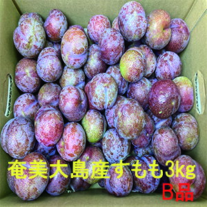 奄美大島産　すもも　プラム　約3kg　B級品　ご家庭用　Lサイズ（中玉）花螺李（がらり／からり）【訳あり傷あり】【送料無料】【北海道、東北、沖縄＋500円】 Man　マン