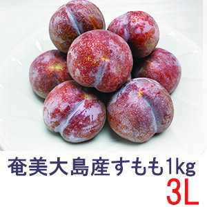 奄美大島産　すもも　プラム　約1kg　3Lサイズ　16玉　花螺李（がらり／からり）【送料無料】【北海道、東北、沖縄＋500円】